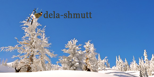 Dela Clothing Surf Movement