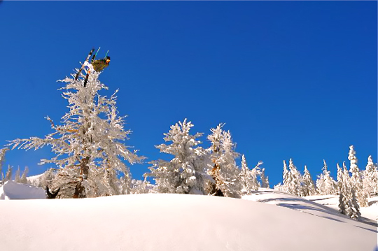 Dela Clothing - Skiing Ari DeLashmutt